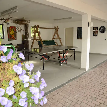 Leise Garni Pensión Willingen (Upland)