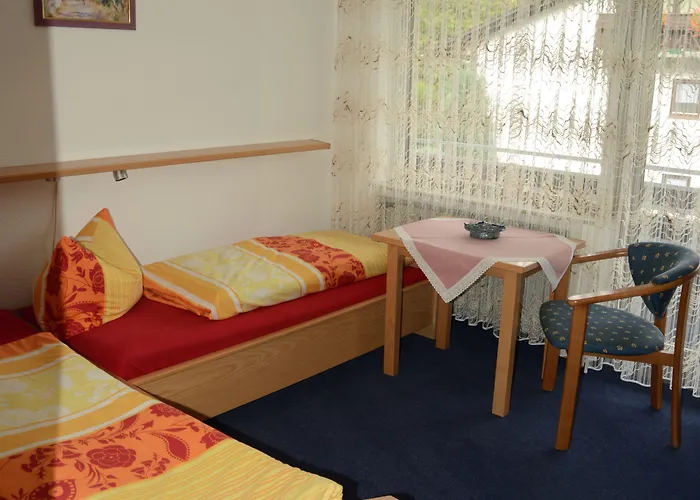 Gasthof Leise Garni Willingen (Upland)